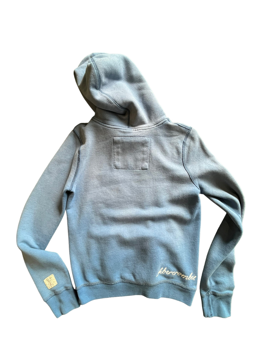 Y2K ABERCROMBIE BLUE JAY HOODED PULLOVER - LARGE